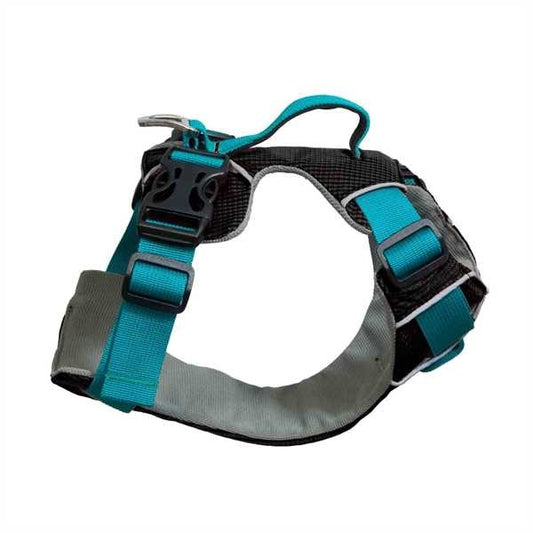 Wishlist - Travel and Safety Harness