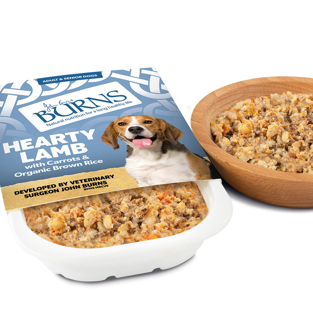 Wishlist - Burns Wet Food Individual 395g