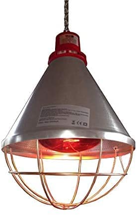 Wishlist - Titan Incubators Lamps