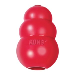 Wishlist - Kong Toy
